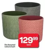 Pot Assorted Colours