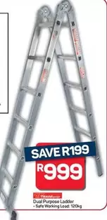 Dual Purpose Ladder