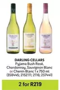 Darling - Pyjama Bush Rosé, Chardonnay, Sauvignon Blanc or Chenin Blanc