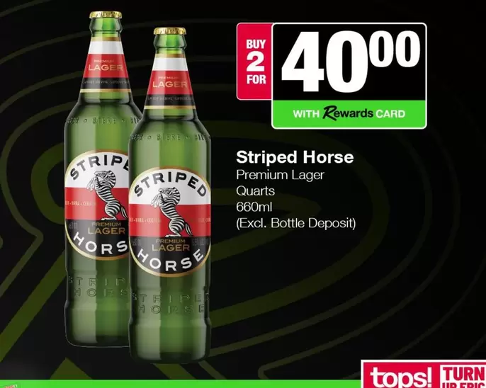 Striped Horse - Premium Lager