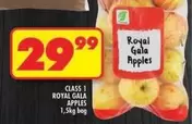 Royal -  Gala Apples