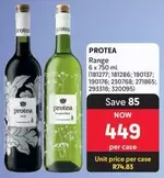 Protea - PROTEA