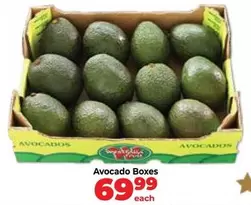 Avocado Boxes