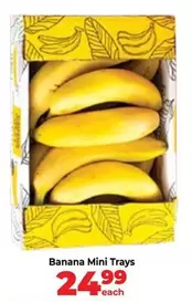 Mini - Banana  Trays