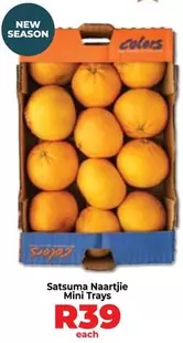 Mini - Satsuma Naartjie  Trays