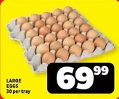 LARGE EGGS