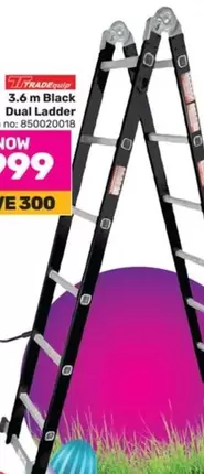 3.6 m Black Dual Ladder 850020018