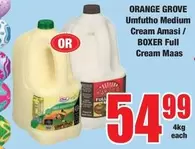 Boxer - Umfuthu Medium Cream Amasi / Full Cream Maas