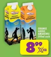 Orange Grove - AMANEWU