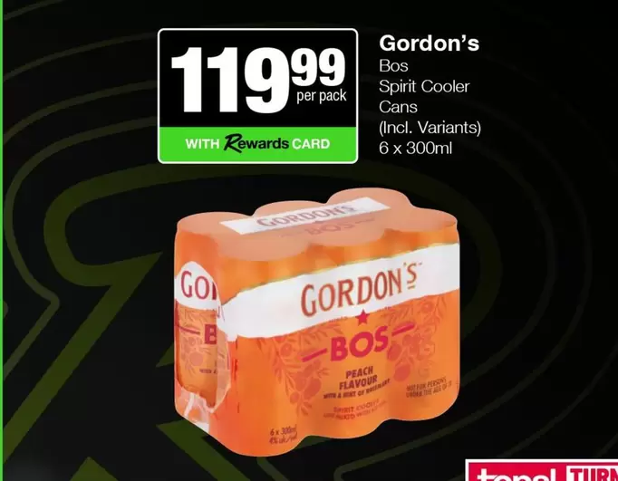 Gordon's - Spirit Cooler Cans