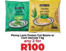 Frozen -  Cut Beans or Corn Kernels