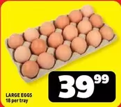 LARGE EGGS