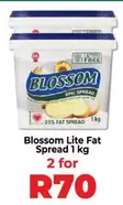 Blossom - Lite Fat Spread