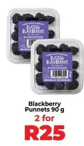 Blissful - Blackberry Punnet