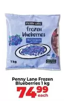 Frozen -  Blueberries