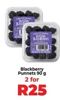 Blissful - Blackberry Punnet