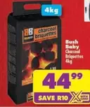 BB - Charcoal Briquettes