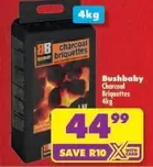 BB - Charcoal Briquettes