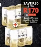 Bernini - Sparkling Spritzer Cans