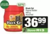 Black Cat - Peanut Butter