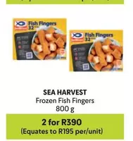 sea harvest - Frozen Fish Fingers 32