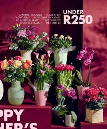 Kraft - Bouquets and Tulips