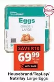 Large Eggs