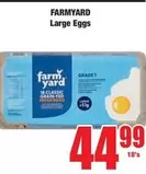 Large Eggs