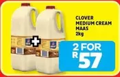Clover - MEDIUM CREAM MAAS