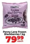 Frozen -  Blackberries