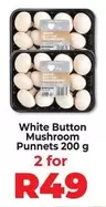 White Button Mushroom Punnet