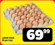 LARGE EGGS