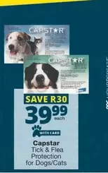 Tick & Flea Protection for Dogs/Cats