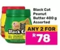 Black Cat - Peanut Butter