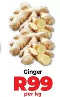 Ginger