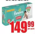 Pampers - Pants