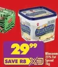 Blossom - 25% Fat Spread