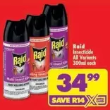 Raid - Insecticide