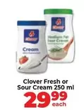 Clover - Fresh or Sour Cream