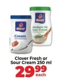 Clover - Fresh or Sour Cream