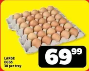 LARGE EGGS