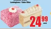 Lamingtons / Cake Slice