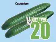 Cucumber