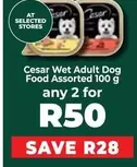 Cesar - Wet Adult Dog Food Assorted