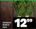 Spinach Bunch