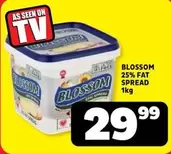 Blossom - 25% FAT SPREAD