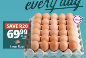 Large Eggs