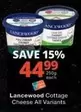 Lancewood - Cottage Cheese
