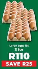 Large Eggs