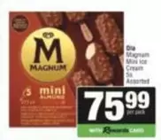 Magnum - Mini Ice Cream